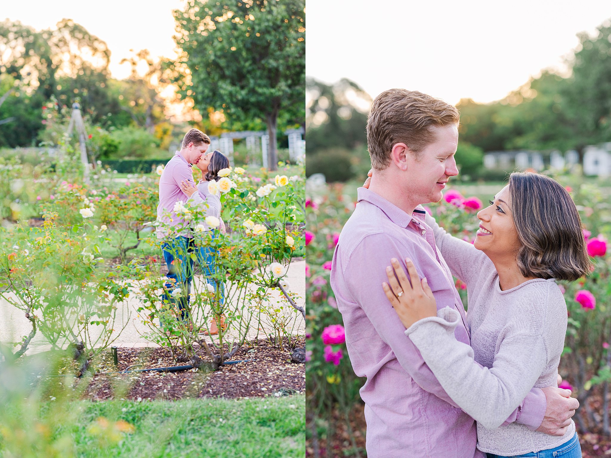 Canberra-autumn-engagement-national-rose-gardens-kali-rebecca-photography_0005.jpg Canberra-autumn-engagement-national-rose-gardens-kali-rebecca-photography_0005.jpg