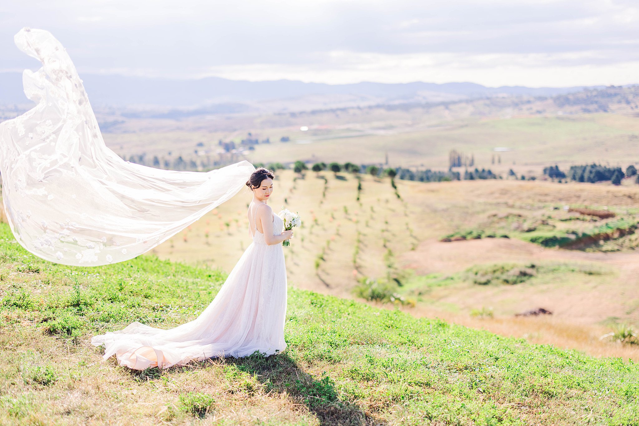 Canberra-wedding-presbyterian-church-of-St-Andrews-portraits-national-arboretum-kali-rebecca-photography_0058.jpg