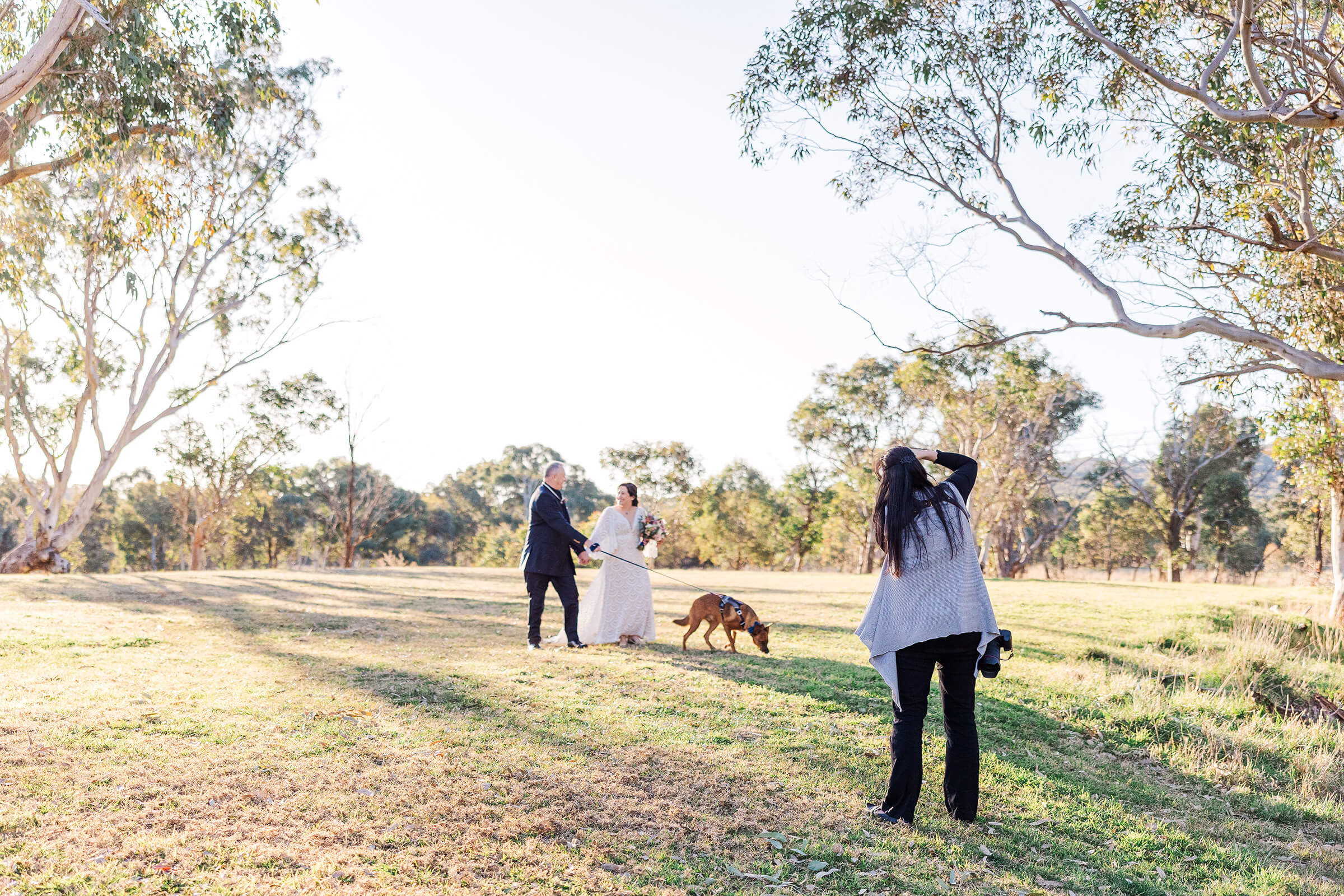 bride and groom walking along an Australian landscape taking pictures with their dog